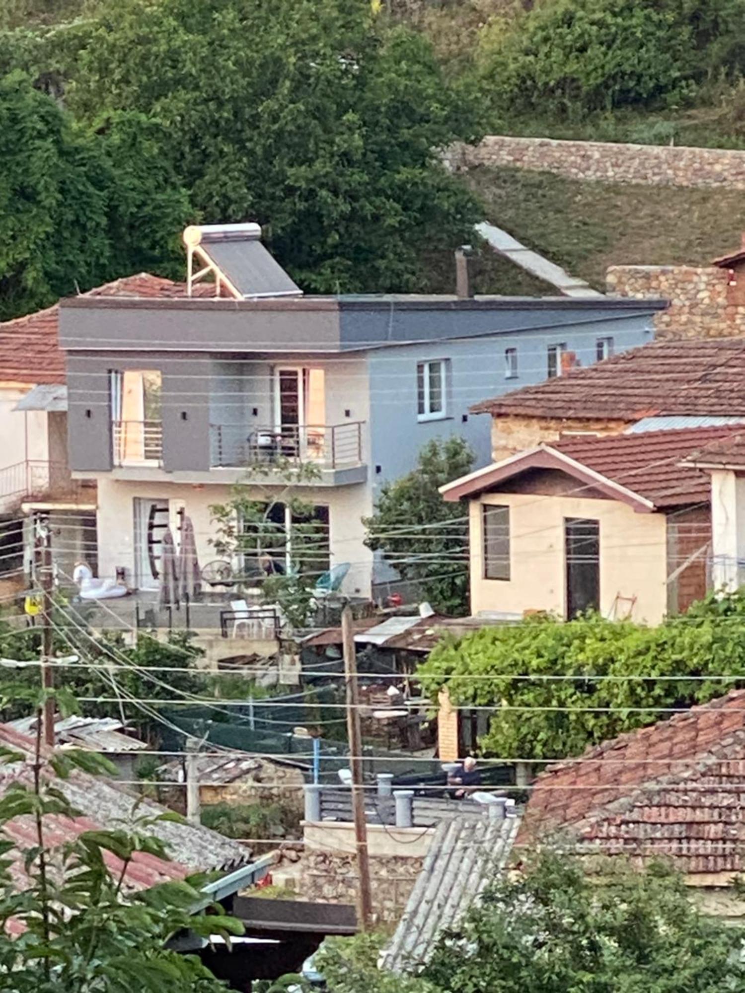 Edelweiss Villa טרפייצה מראה חיצוני תמונה